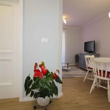 Apartment In Porec/istrien 10446 Porec