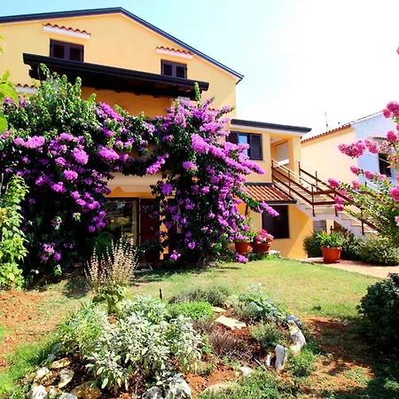 In Porec/istrien 10446 Apartment